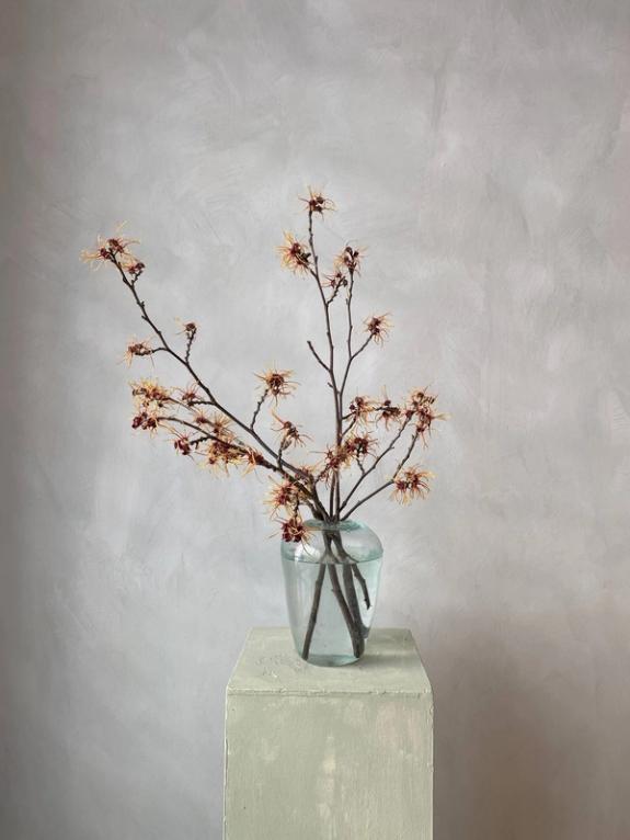 Fox Fodder Flowers image grid container slide 10