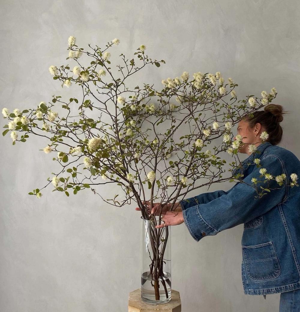 Fox Fodder Flowers Hero Slide 5 Image 1