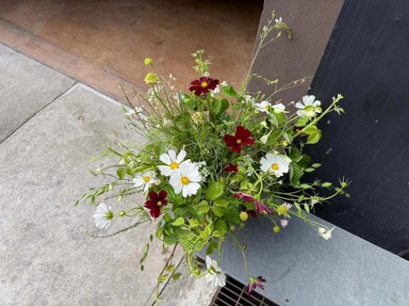 Fox Fodder Flowers image grid container slide 16