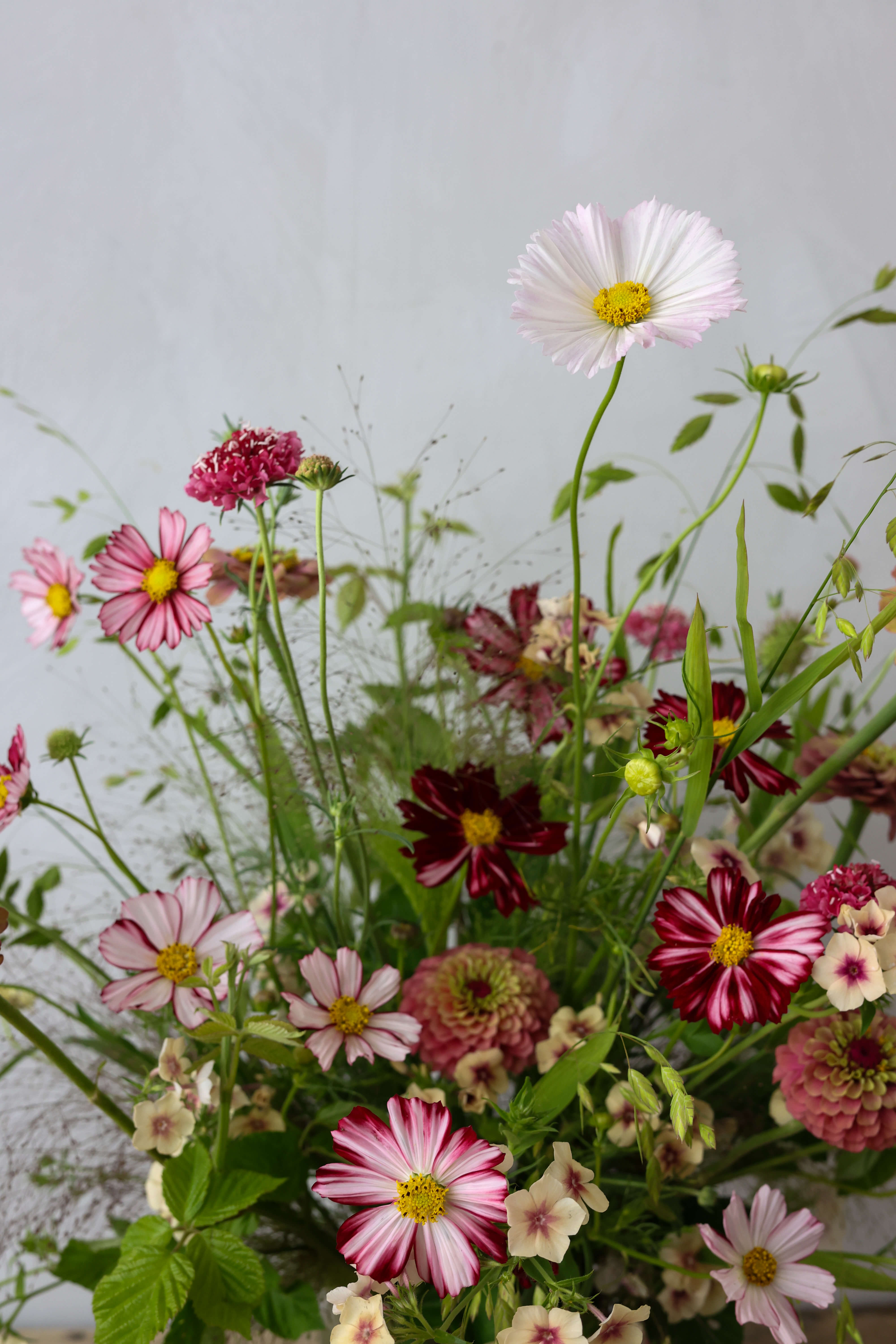 Fox Fodder Flowers | Signature Flower Arrangement | Seasonal