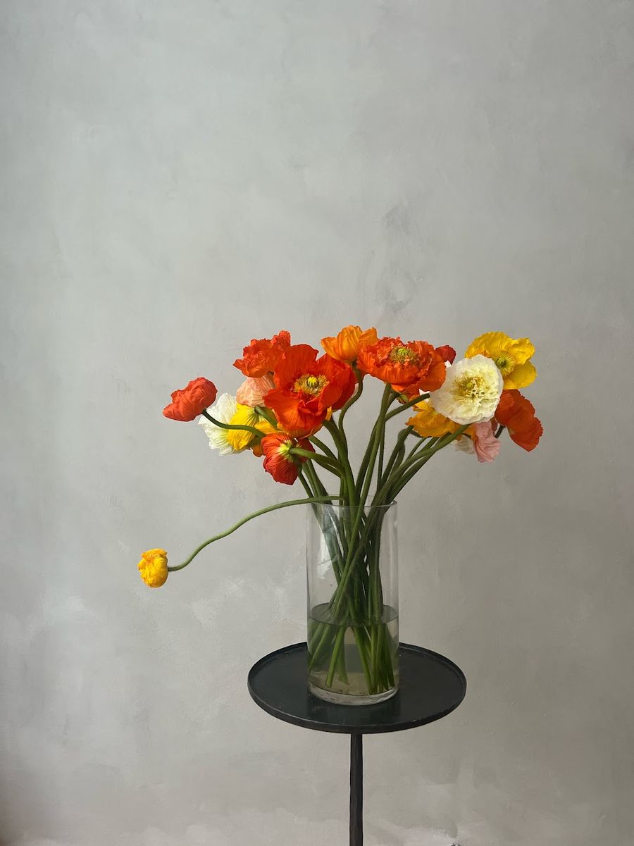 Product image in gallery for Icelandic Poppies | Item 2