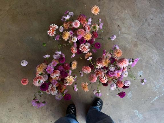 Fox Fodder Flowers image grid container slide 34