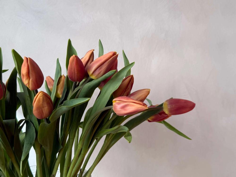 Fox Fodder Flowers Hero Slide 4 Image 1