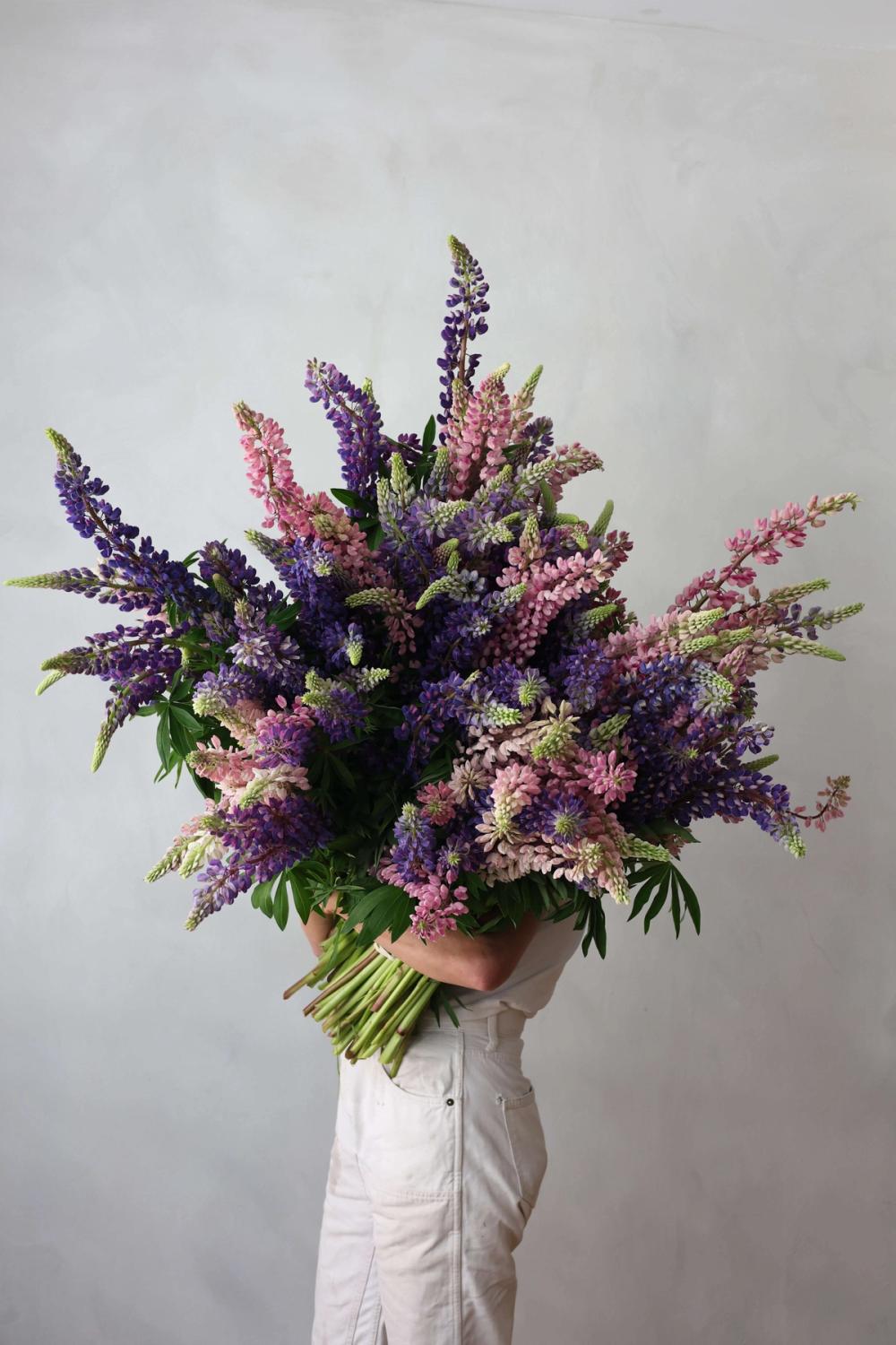 Fox Fodder Flowers Hero Slide 1 Image 1