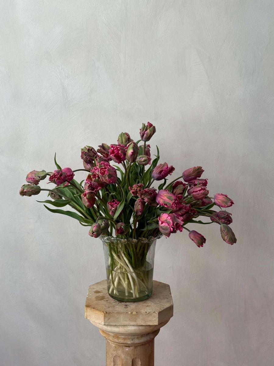 Product image in gallery for Purple Parrot Tulip | Item 1