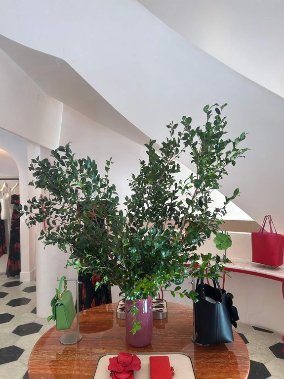 Fox Fodder Flowers image grid container slide 6