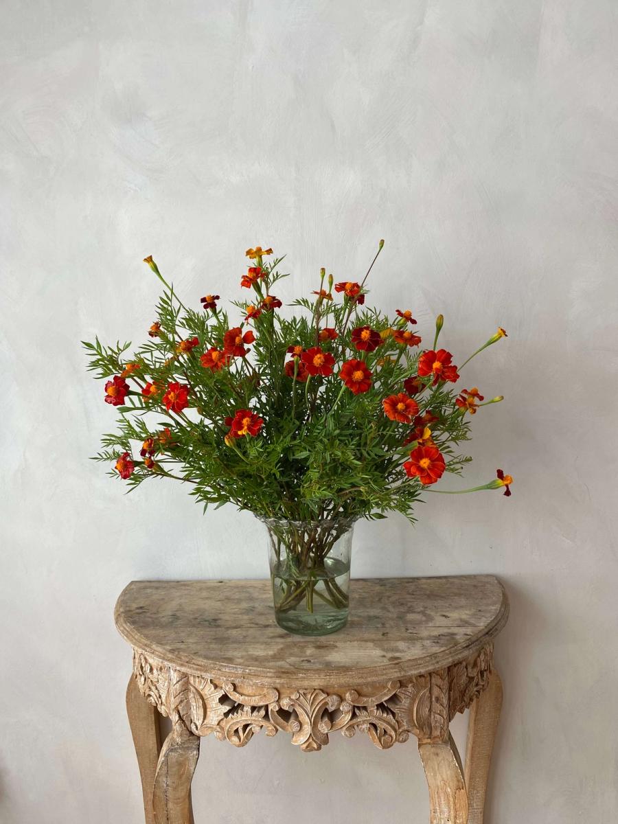 Product image in gallery for Burning Embers Marigolds | Item 1