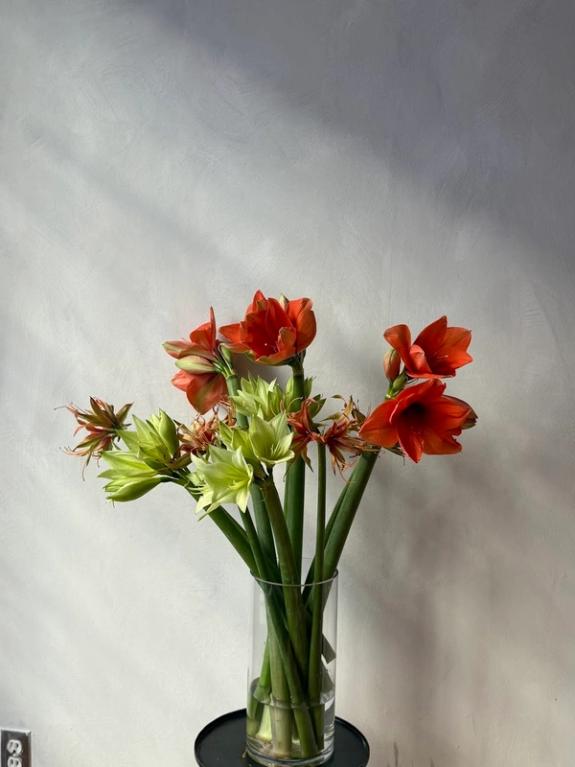 Hover Image of Subscription- What We're Loving