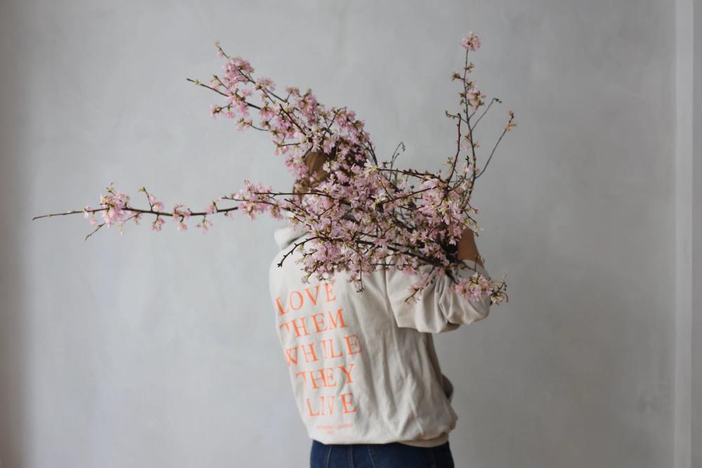 Fox Fodder Flowers Hero Slide 3 Image 1