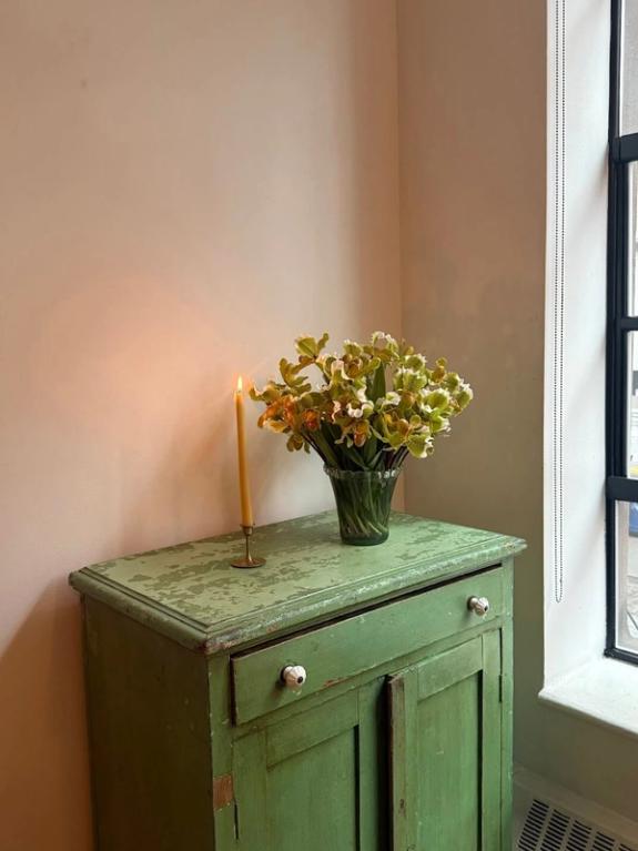 Thumbnail Image of Lady Slipper Orchids