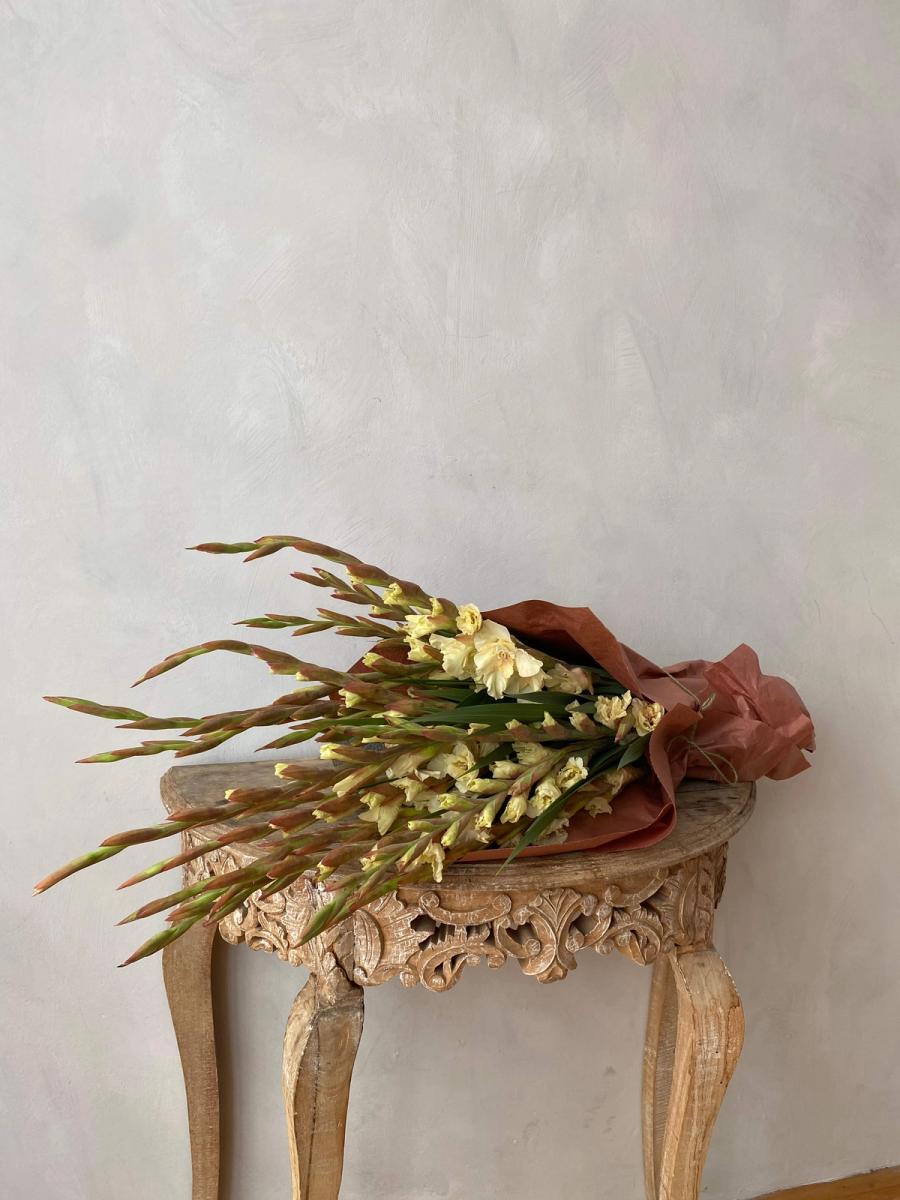 Product image in gallery for Jean Harlow Gladiolus | Item 3