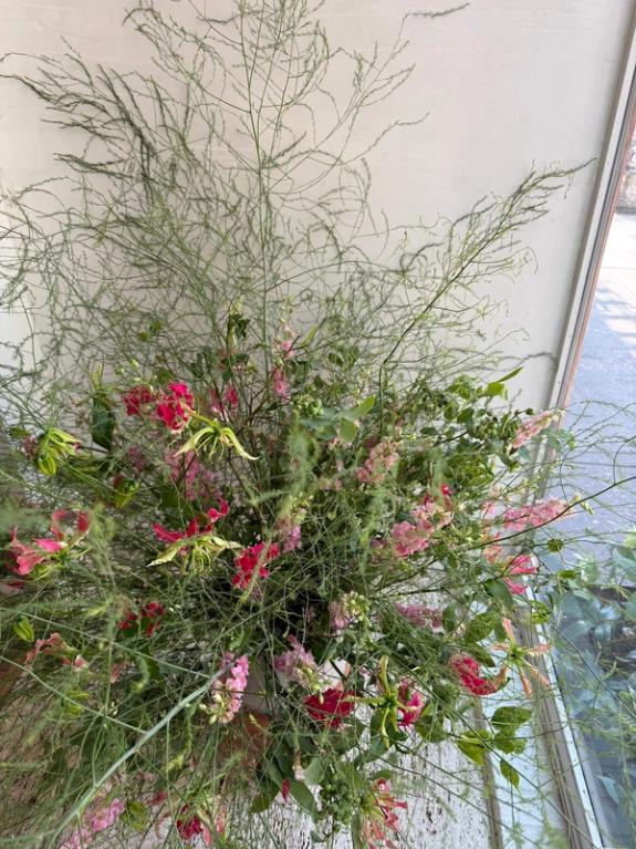 Fox Fodder Flowers image grid container slide 267