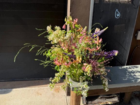 Fox Fodder Flowers image grid container slide 241