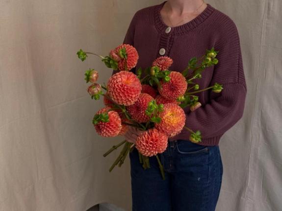 Thumbnail Image of Chrichton Honey Dahlias