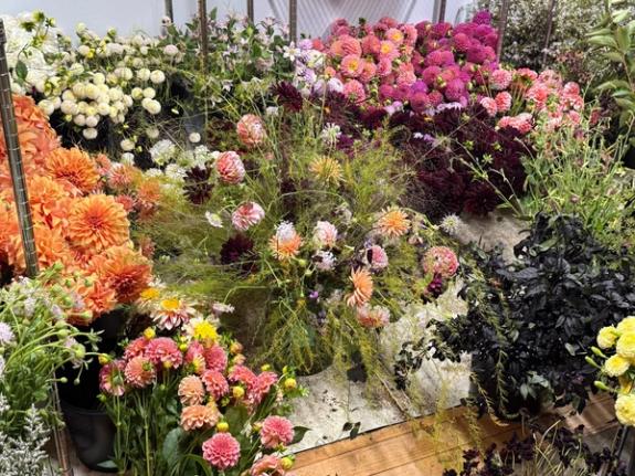 Fox Fodder Flowers image grid container slide 79