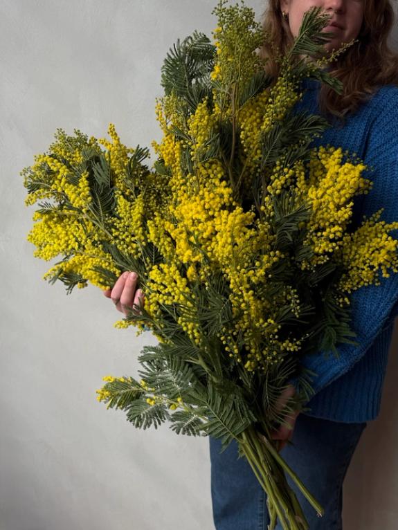 Hover Image of Flower Arrangements & Bouquets