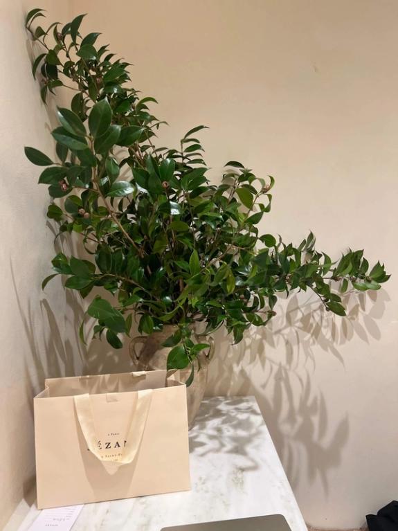 Fox Fodder Flowers image grid container slide 6