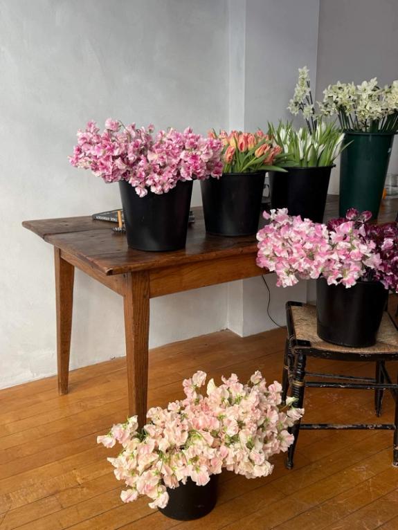 Fox Fodder Flowers image grid container slide 21