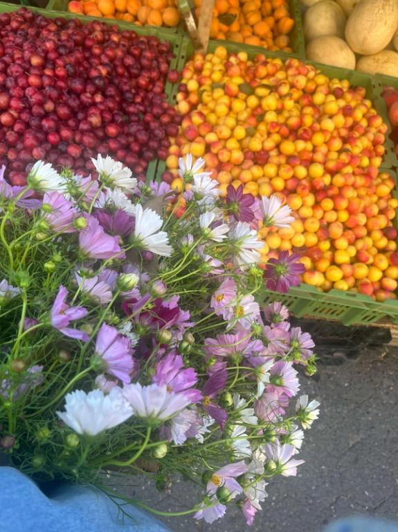 Fox Fodder Flowers image grid container slide 100