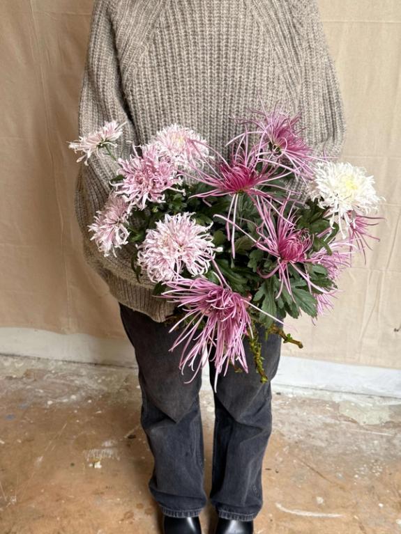 Thumbnail Image of Icicles and Pink Splendor Heirloom Chrysanthemums