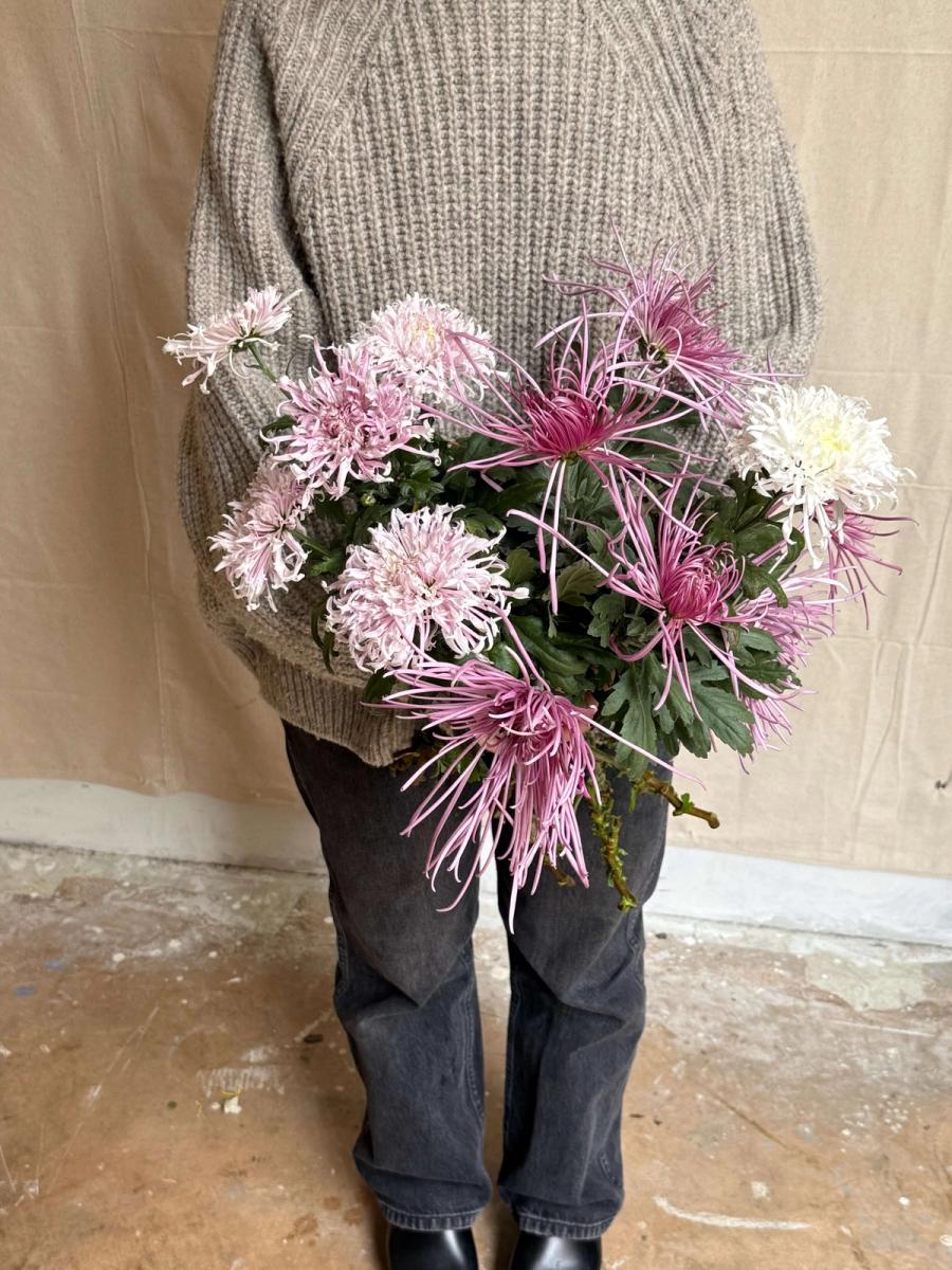 Product image in gallery for Icicles and Pink Splendor Heirloom Chrysanthemums | Item 1