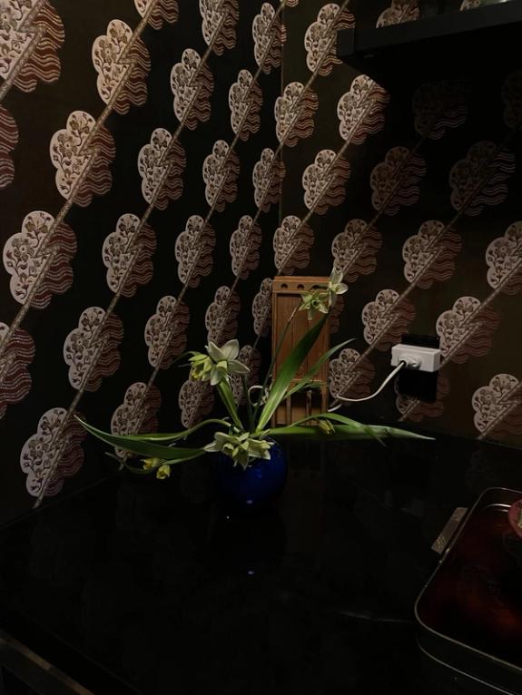 Fox Fodder Flowers image grid container slide 26