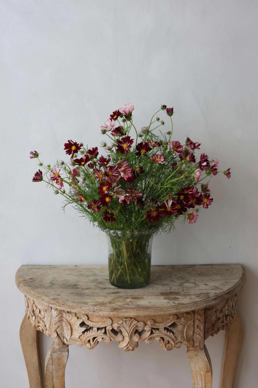 Product image in gallery for Velouette Cosmos in Campo Di Fiori | Item 1