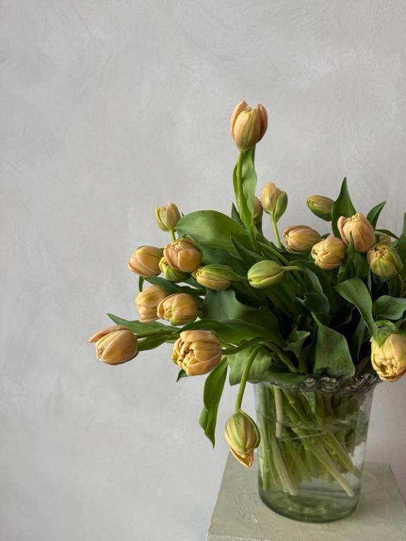 Hover Image of Subscription- What We're Loving