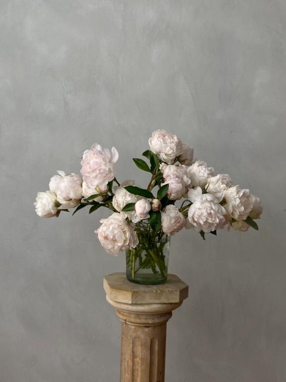 Thumbnail Image of Bowl of Cream Peonies