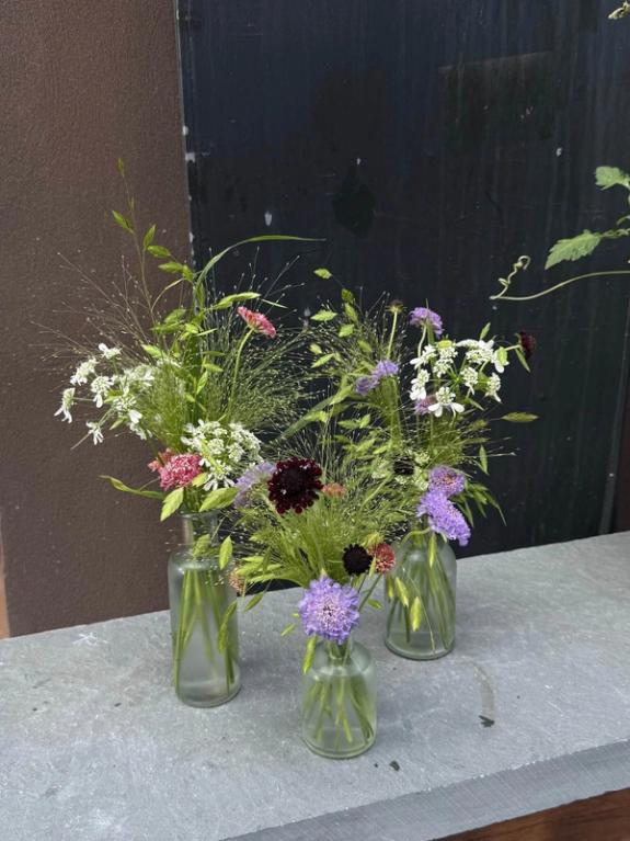 Fox Fodder Flowers image grid container slide 109