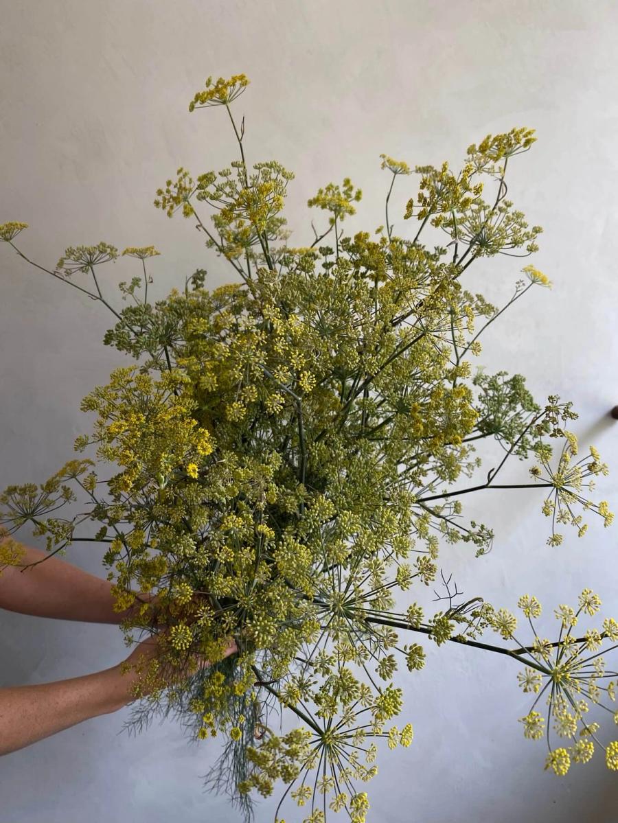 Product image in gallery for Bronze Fennel Bunch | Item 2