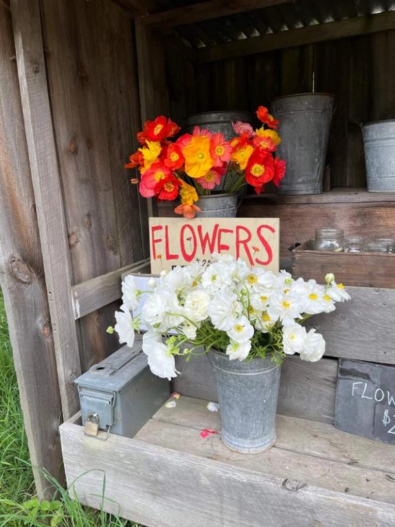 Fox Fodder Flowers image grid container slide 252