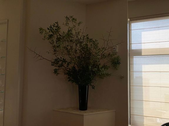 Fox Fodder Flowers image grid container slide 137