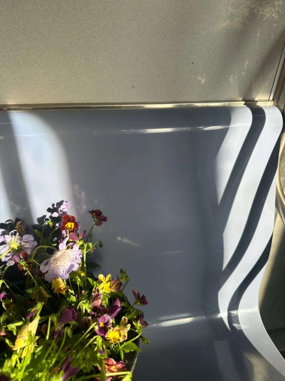 Fox Fodder Flowers image grid container slide 11