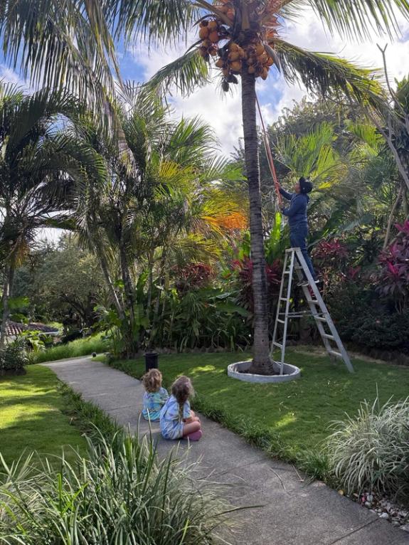 Fox Fodder Flowers image grid container slide 36