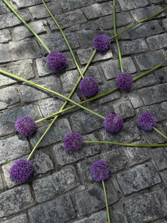 Fox Fodder Flowers image grid container slide 1