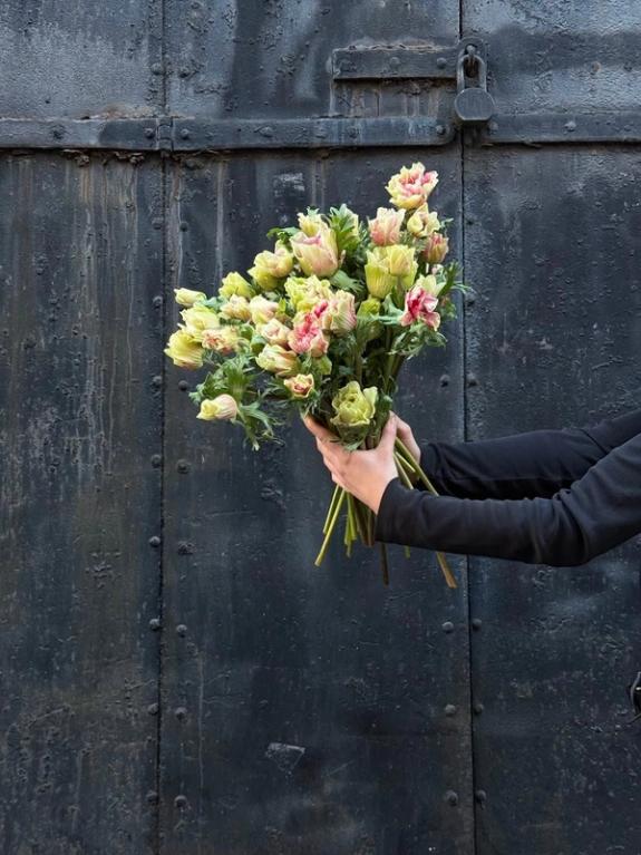 Thumbnail Image of Anemone Mistral Super Tigre