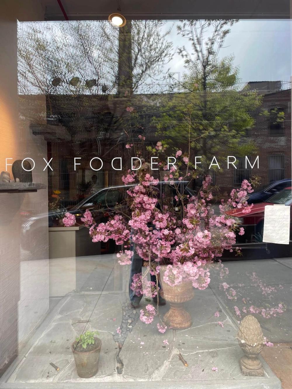 Fox Fodder Flowers store window — 45 South 4th Street, Brooklyn, NY
