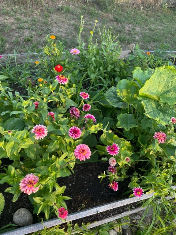 Fox Fodder Flowers image grid container slide 73