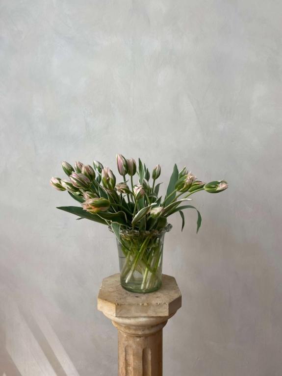 Thumbnail Image of Chinatown Tulips