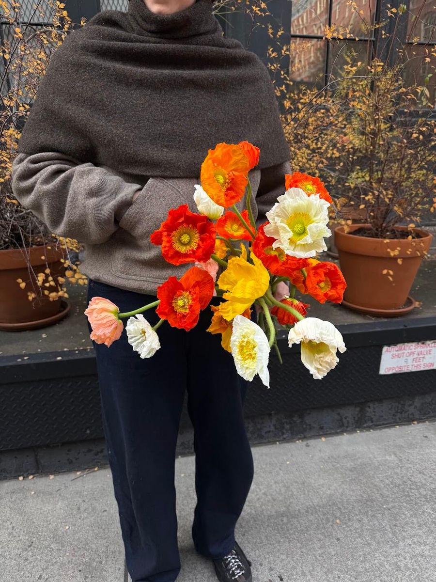 Product image in gallery for Icelandic Poppies | Item 1