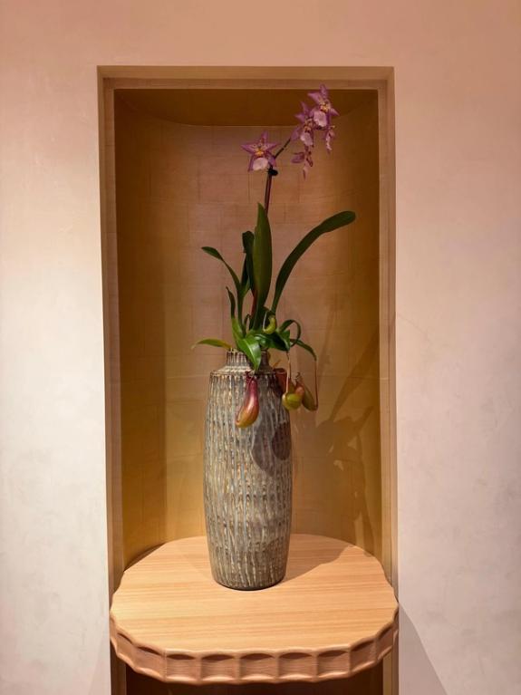 Fox Fodder Flowers image grid container slide 37