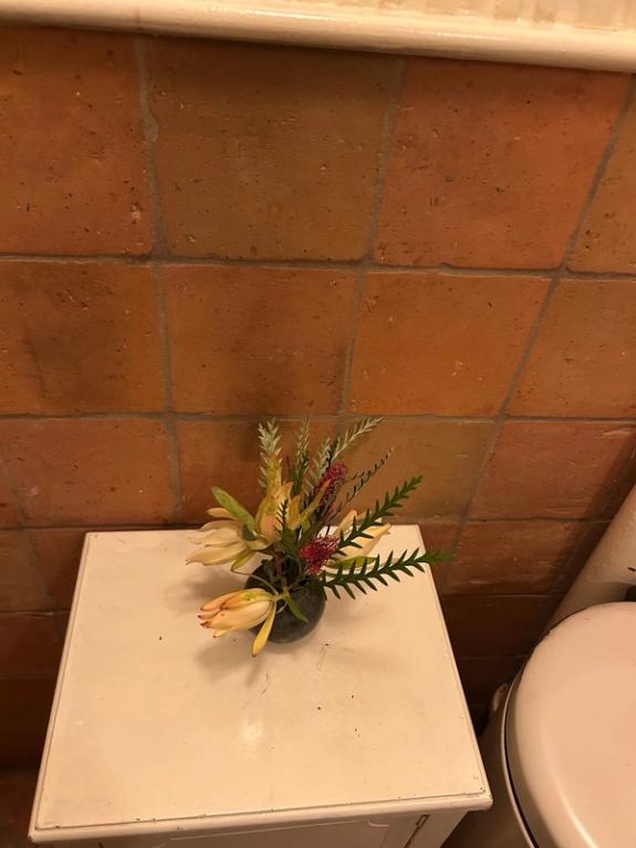 Fox Fodder Flowers image grid container slide 43