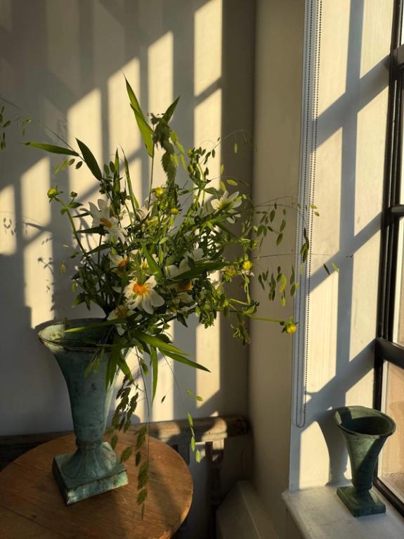 Thumbnail Image of Alpen Cherub Dahlias with Sea Oats