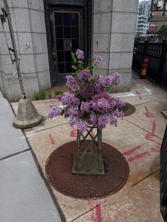 Fox Fodder Flowers image grid container slide 193