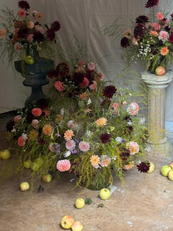 Fox Fodder Flowers image grid container slide 81