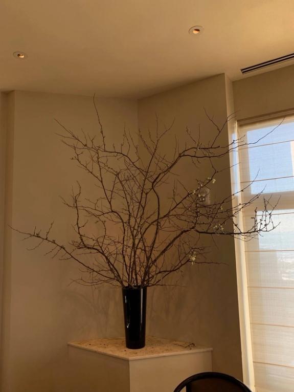 Fox Fodder Flowers image grid container slide 50