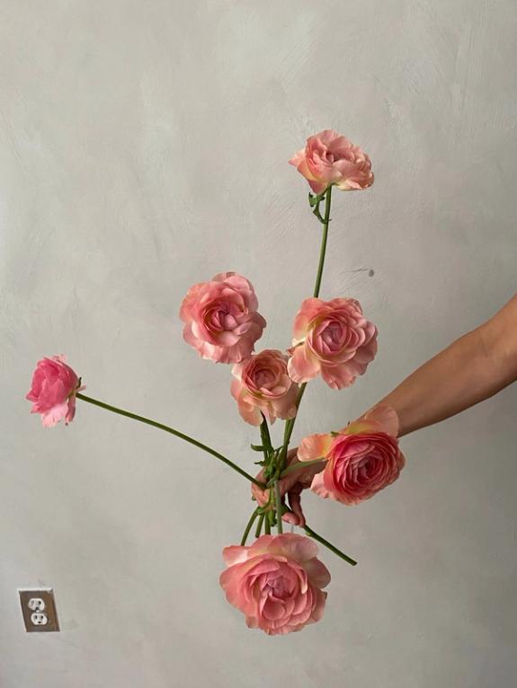 Fox Fodder Flowers image grid container slide 55