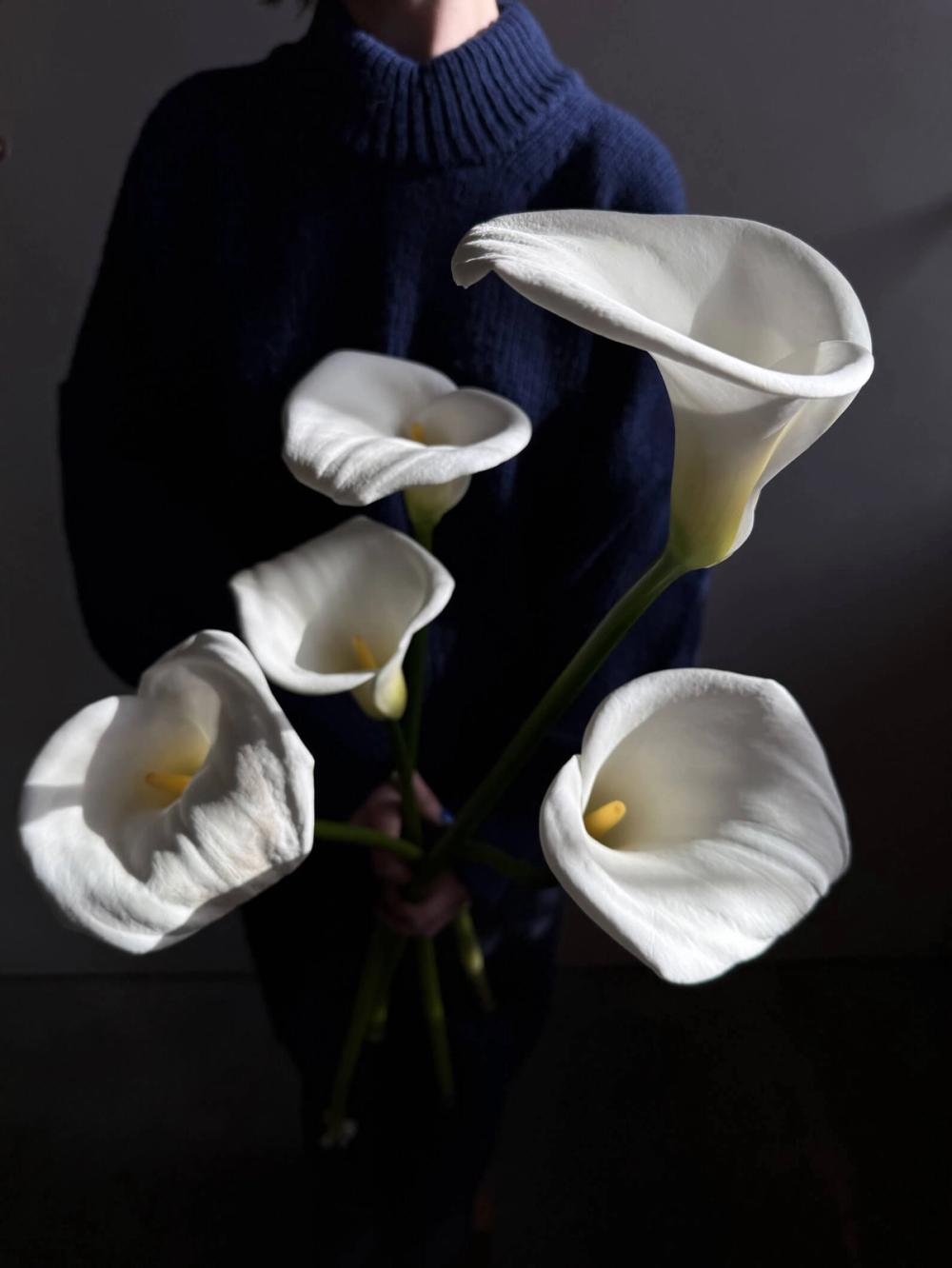 Fox Fodder Flowers | Giant Calla Lilies