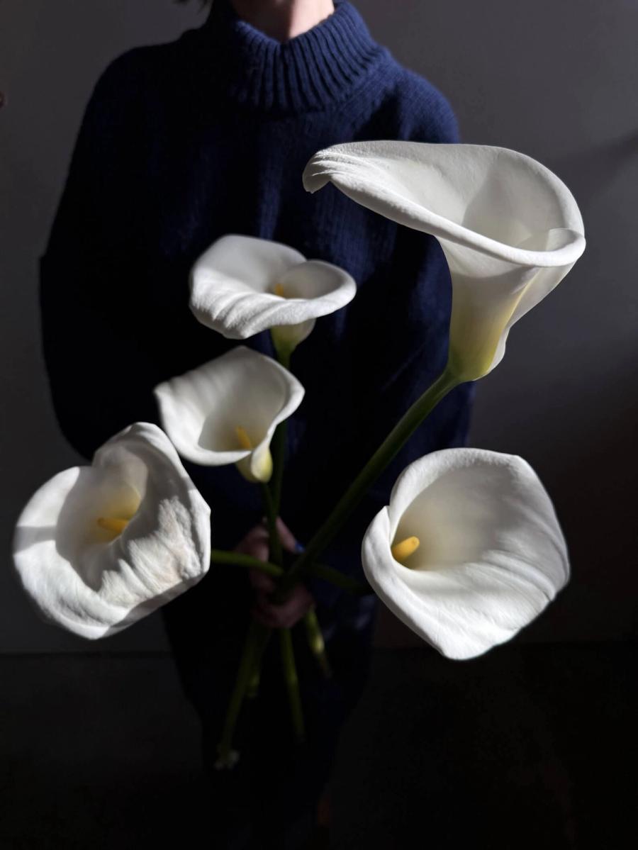 Product image in gallery for Giant Calla Lilies | Item 1